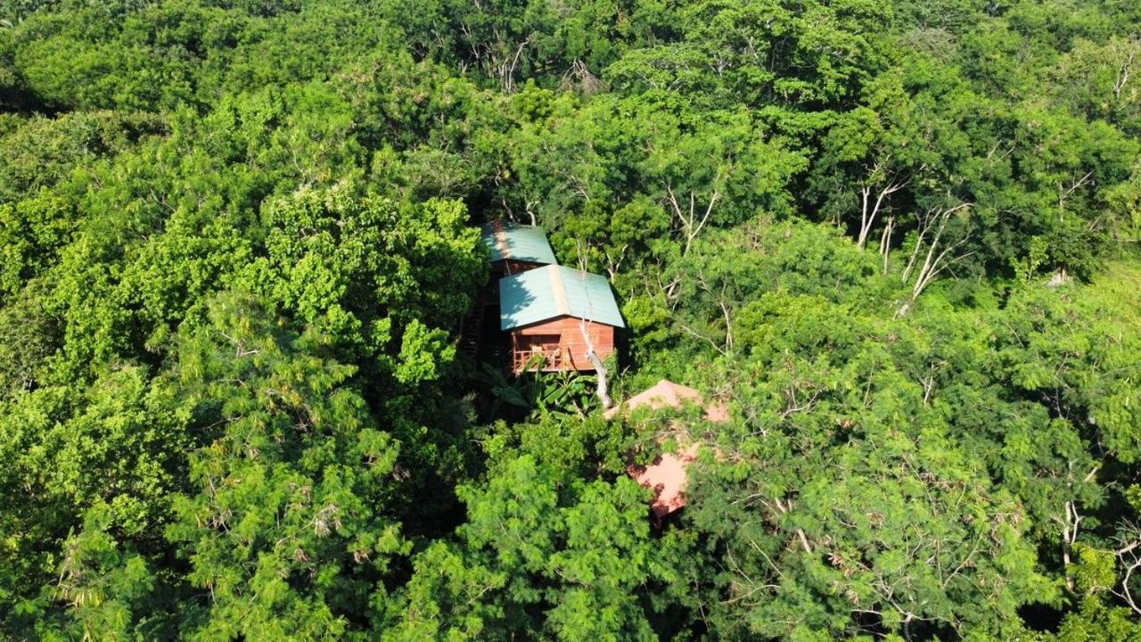 Tree House Hostel 锡吉里亚 外观 照片