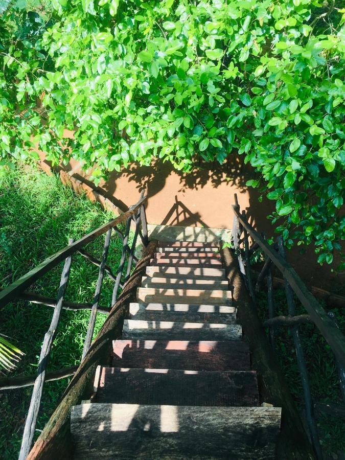 Tree House Hostel 锡吉里亚 外观 照片