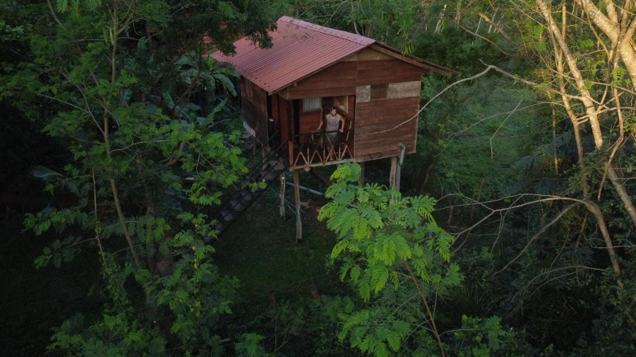 Tree House Hostel 锡吉里亚 外观 照片