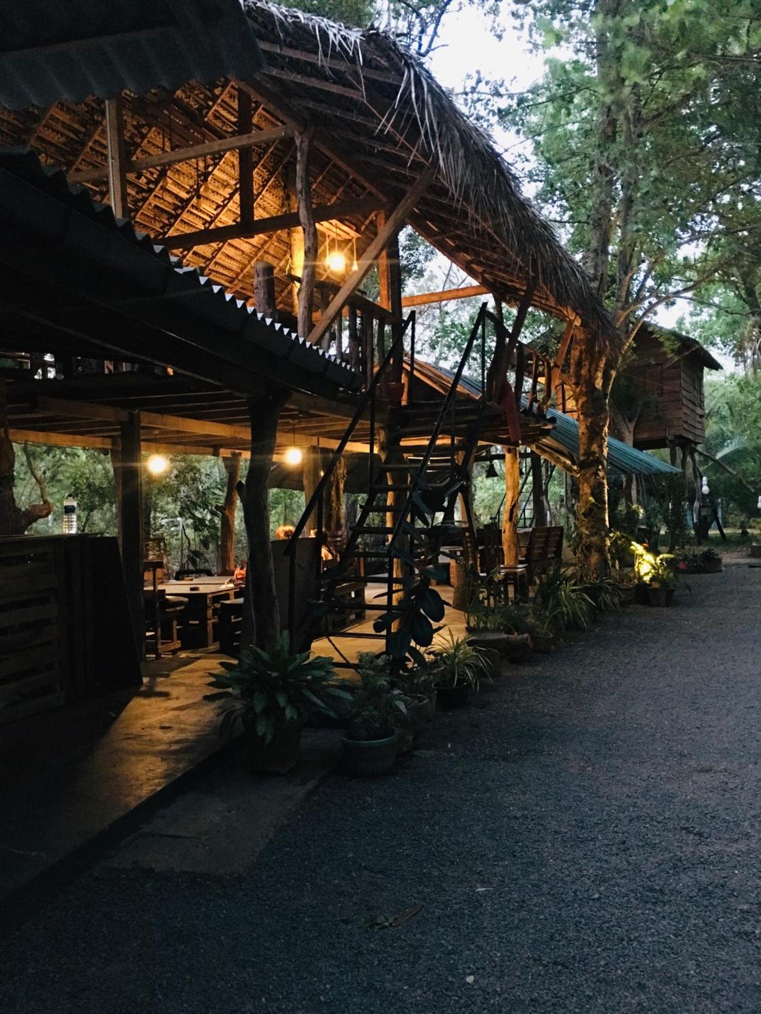 Tree House Hostel 锡吉里亚 外观 照片