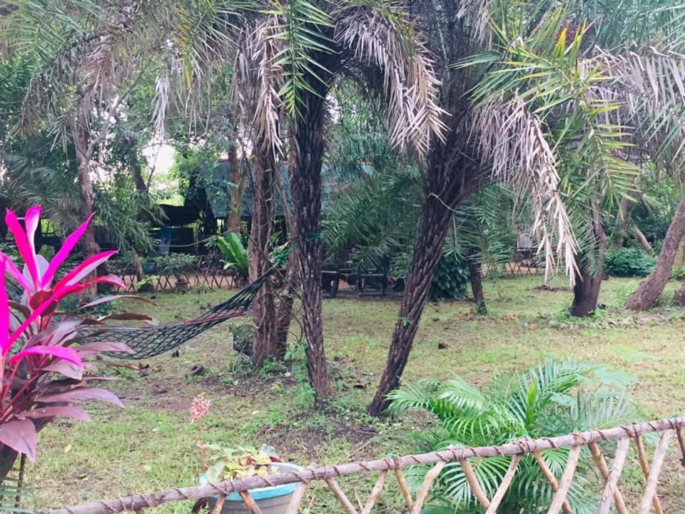 Tree House Hostel 锡吉里亚 外观 照片