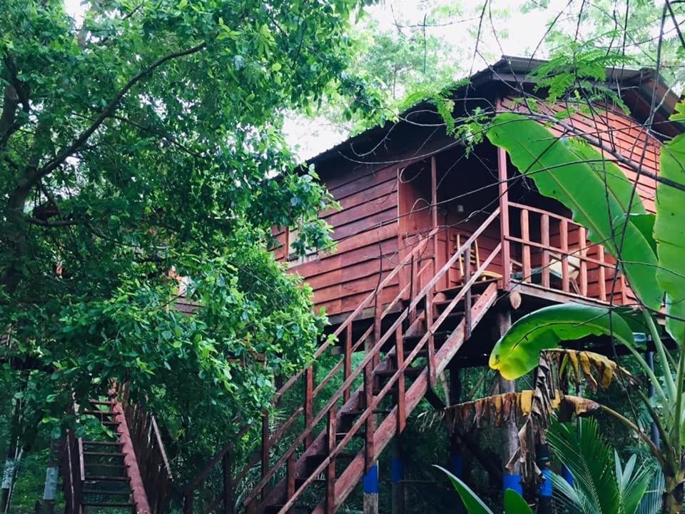Tree House Hostel 锡吉里亚 外观 照片
