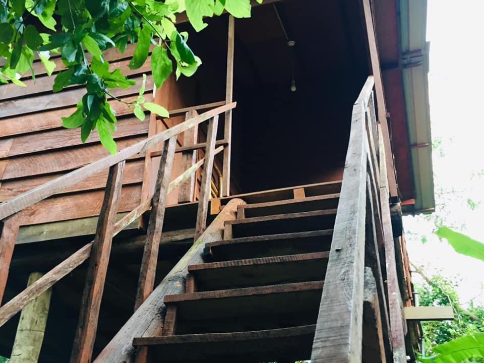 Tree House Hostel 锡吉里亚 外观 照片