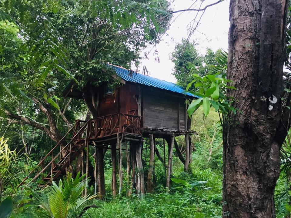 Tree House Hostel 锡吉里亚 外观 照片