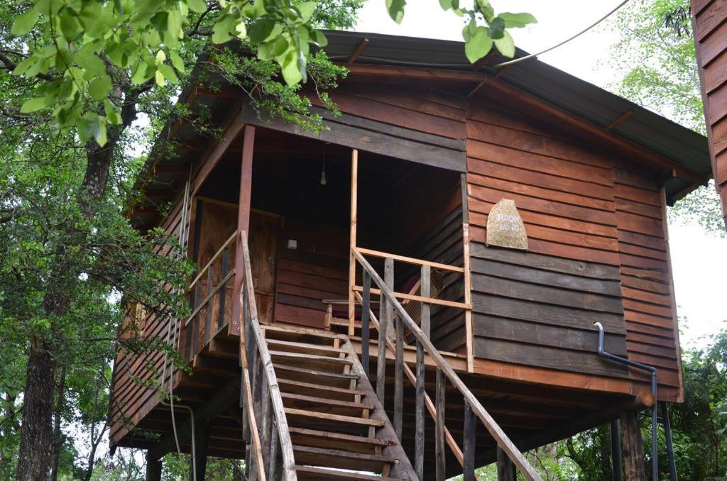 Tree House Hostel 锡吉里亚 外观 照片
