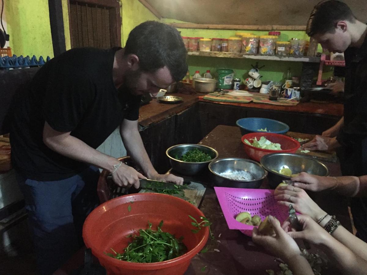 Tree House Hostel 锡吉里亚 外观 照片